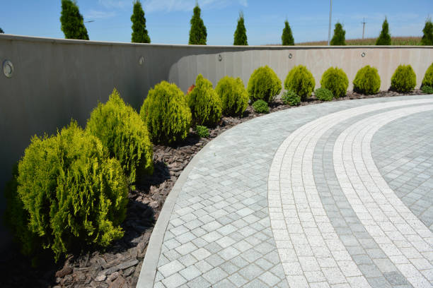 Best Residential Paver Driveway  in Wahese, NC